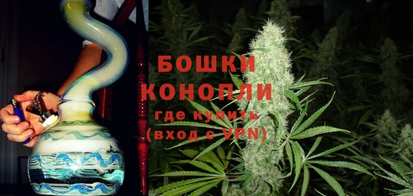 гашик Зерноград