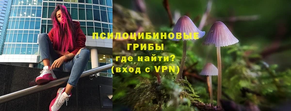 гашик Зерноград