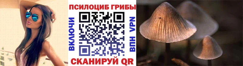 Галлюциногенные грибы Magic Shrooms  Купить закладки  Остров 